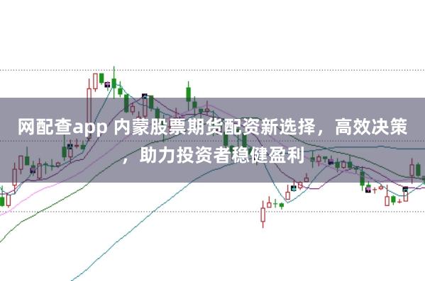网配查app 内蒙股票期货配资新选择，高效决策，助力投资者稳健盈利