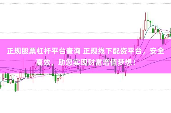 正规股票杠杆平台查询 正规线下配资平台，安全高效，助您实现财富增值梦想！