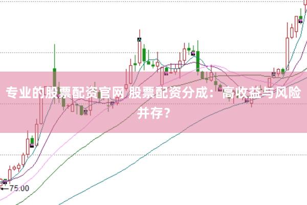 专业的股票配资官网 股票配资分成：高收益与风险并存？