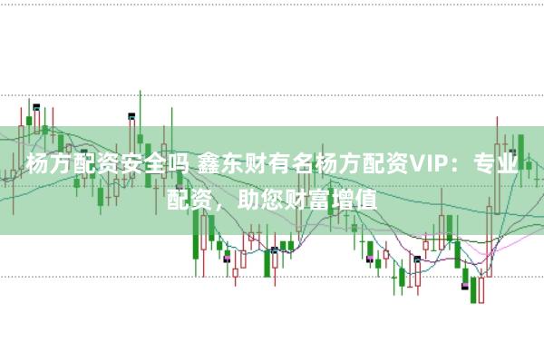 杨方配资安全吗 鑫东财有名杨方配资VIP：专业配资，助您财富增值