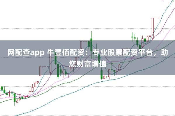 网配查app 牛壹佰配资：专业股票配资平台，助您财富增值