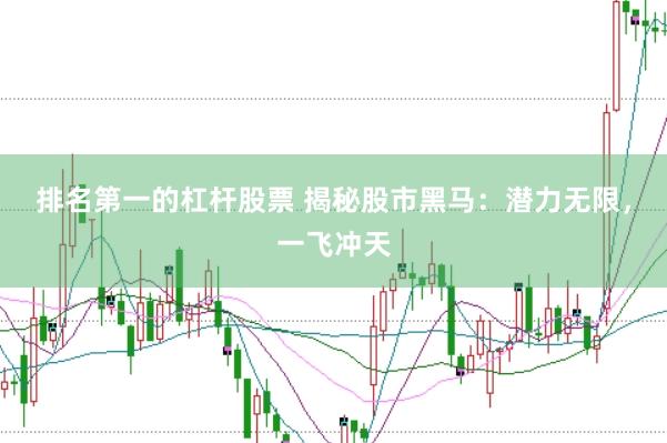 排名第一的杠杆股票 揭秘股市黑马：潜力无限，一飞冲天