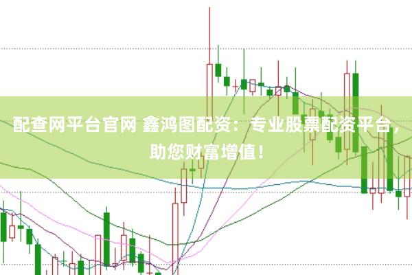 配查网平台官网 鑫鸿图配资：专业股票配资平台，助您财富增值！