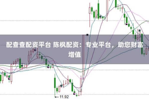 配查查配资平台 陈枫配资：专业平台，助您财富增值
