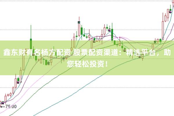 鑫东财有名杨方配资 股票配资渠道：精选平台，助您轻松投资！
