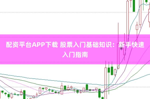 配资平台APP下载 股票入门基础知识：新手快速入门指南