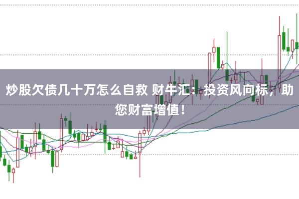 炒股欠债几十万怎么自救 财牛汇：投资风向标，助您财富增值！