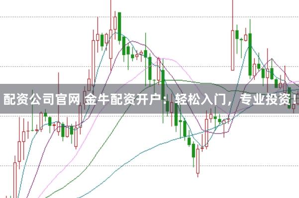 配资公司官网 金牛配资开户：轻松入门，专业投资！