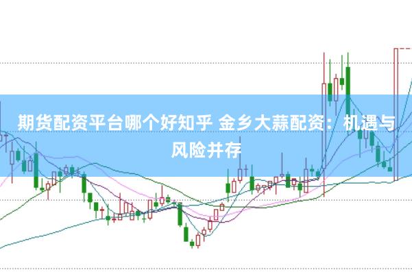 期货配资平台哪个好知乎 金乡大蒜配资：机遇与风险并存