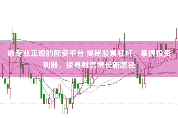 最专业正规的配资平台 揭秘股票杠杆：掌握投资利器，探寻财富增长新路径