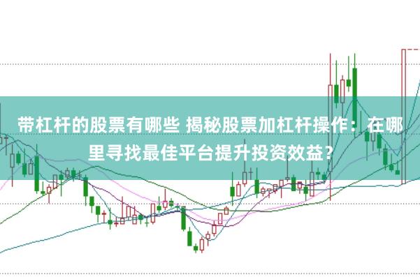 带杠杆的股票有哪些 揭秘股票加杠杆操作：在哪里寻找最佳平台提升投资效益？
