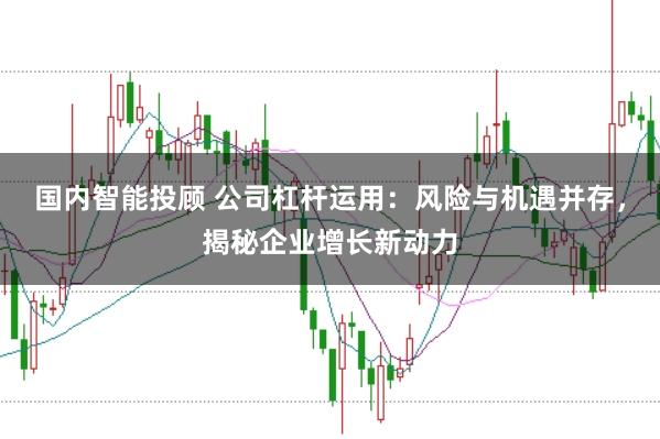 国内智能投顾 公司杠杆运用：风险与机遇并存，揭秘企业增长新动力