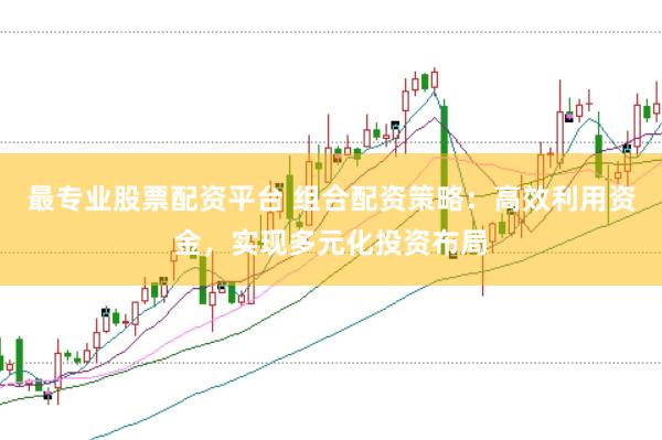 最专业股票配资平台 组合配资策略：高效利用资金，实现多元化投资布局