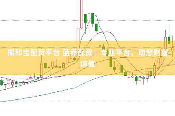 撮和宝配资平台 蓝乔配资：专业平台，助您财富增值