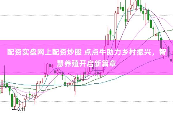 配资实盘网上配资炒股 点点牛助力乡村振兴，智慧养殖开启新篇章
