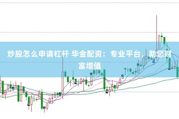 炒股怎么申请杠杆 华金配资：专业平台，助您财富增值