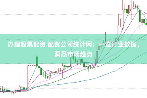 办理股票配资 配资公司统计网：一览行业数据，洞悉市场趋势