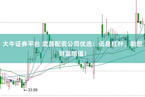 大牛证券平台 武昌配资公司优选：低息杠杆，助您财富增值！