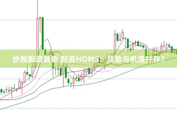 炒股配资最新 配资HOMS：风险与机遇并存？