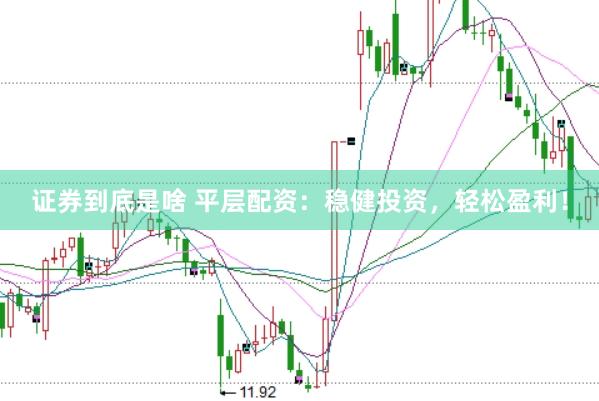 证券到底是啥 平层配资：稳健投资，轻松盈利！