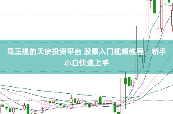 最正规的天使投资平台 股票入门视频教程：新手小白快速上手