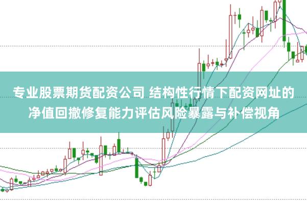 专业股票期货配资公司 结构性行情下配资网址的净值回撤修复能力评估风险暴露与补偿视角